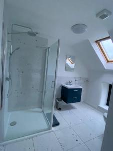 a bathroom with a shower and a sink at Bill's Barns Apartment 2 in Kenmare