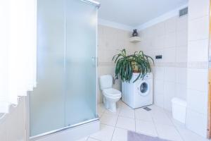 Ένα μπάνιο στο U Majerczyka Dolina Apartment +20 φωτογραφίες