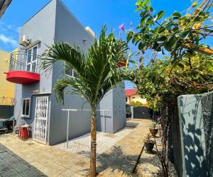 a palm tree in front of a house at Lav's Place in Brufut