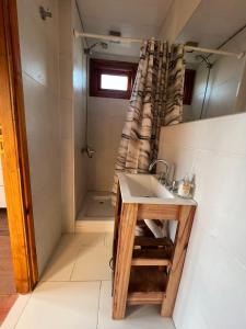 a bathroom with a sink and a shower at Los colibries in Mar de Cobo