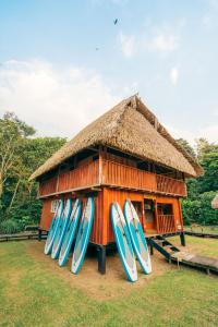 un montón de tablas de surf están alineadas en frente de un edificio en Waita Lodge, en Cuyavenus