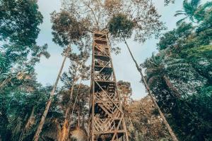 einen hölzernen Turm inmitten von Bäumen in der Unterkunft Waita Lodge in Cuyabeno
