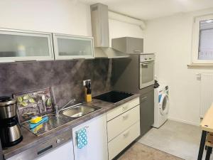 eine Küche mit Spüle und Arbeitsplatte in der Unterkunft Ferienwohnung COCO Ochsenfurt in Ochsenfurt + 3 Fotos