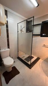 a bathroom with a toilet and a glass shower at شقه فندقيه فى قلب عباس العقاد مدينه نصر احجز ٣ ايام وتمتع بجوله سياحيه لاهرامات الجيزة in Cairo