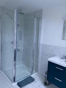 a shower stall in a bathroom with a sink at Bill's Barns Apartment 2 in Kenmare