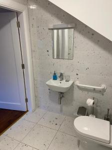 uma casa de banho com um lavatório e um WC em Bill's Barns, Apartment 1 em Kenmare