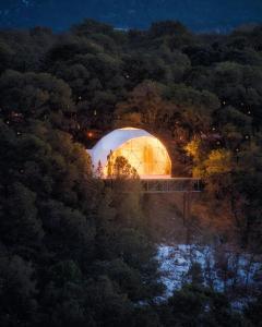a domed building in the middle of a forest at night at Zia Geo Dome At El Mistico Ranch, Glamping in Nogal