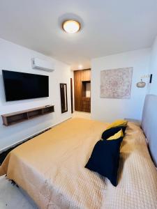 a bedroom with a large bed and a flat screen tv at Torre Riviera veracruzana in Guadalupe