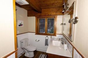 a bathroom with a toilet and a sink at Panoramic Mountain views w/hot tub, hiking trail in Fairlee