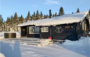 Το 3 Bedroom Amazing Home In Lillehammer τον χειμώνα
