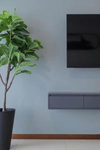 a plant in a black pot next to a tv at The Landmark Penang in Tanjong Tokong