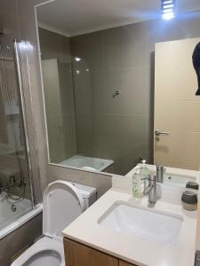 La salle de bains est pourvue d'un lavabo, de toilettes et d'un miroir. dans l'établissement DEPARTAMENTO ARAUCO CENTRO CHILLAN Con ESTACIONAMIENTO, à Chillán