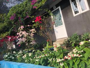 a flower garden in front of a house with flowers at Cat Ba Countryside Homestay in Cat Ba