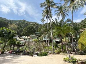 Apsara & Dragon’s Supra Wellness Resort في بان تاي: صف من البيوت على شاطئ به أشجار نخيل