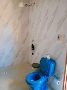 a blue toilet in a bathroom with a marble wall at Country house, friends, meetings, well connected in Luque +31 photos
