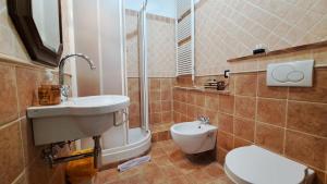a bathroom with a sink and a toilet at Agriturismo Abbazia Sette Frati a casa di Sara in Pietrafitta