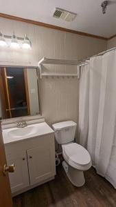 史諾修的住宿－Evergreen Escape At Snowshoe，一间带卫生间、水槽和镜子的浴室