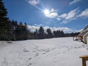 史諾修的住宿－Evergreen Escape At Snowshoe，天空中一片雪地,阳光照耀着