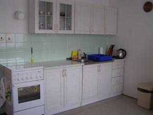 eine Küche mit weißen Schränken und einem Waschbecken in der Unterkunft Apartment Vysocina in Svratka