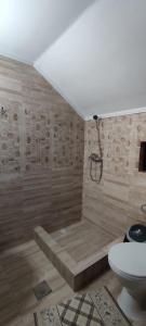 a bathroom with a shower and a toilet in it at Cabana Inima Munților in Gîrda de Sus