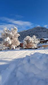 a snow covered yard with trees and a house at Phantasia in Flachau