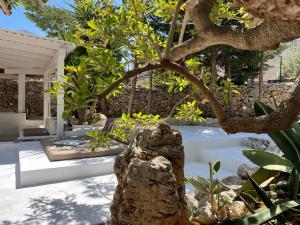 un jardín con un árbol en el primer plano en Villa Il Cappero en San Vito lo Capo