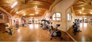 Gimnasio o equipo deportivo en Chalet - Direkt am 5 Sterne Campingplatz Aufenfeld im Zillertal mit Hallenbad und Sauna