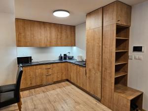 Kuchyň nebo kuchyňský kout v ubytování Comfort Apartments with parking - Tale + 21 fotografií