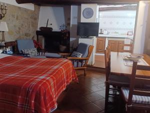 a room with a bed and a table and a kitchen at LE PIANACCE - Appartamento per vacanze in Castiglione di Garfagnana