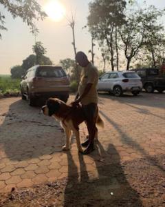 Ein Mann, der mit einem Hund auf einem Ziegelsteinweg läuft. in der Unterkunft Heritage Resort , Kolhapur in Kolhapur
