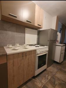 una cucina con piano cottura e frigorifero di BIANCA LuX a Kraljevo