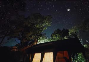 a night view of a tree and the moon at H2H Bir l Nature Camps in Bīr