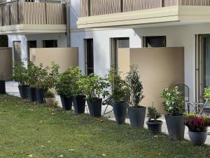 een rij potplanten voor een gebouw bij Ferienwohnung Isenberg in Bad Reichenhall