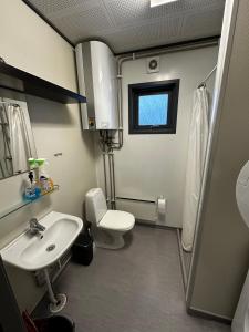 ein kleines Bad mit WC und Waschbecken in der Unterkunft Dvaro namai 