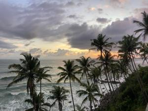 Un paisaje natural cerca de la casa de huéspedes