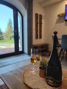 two glasses of wine and a bottle on a table at Apartment & Studio Forest Paradise in Cerkno