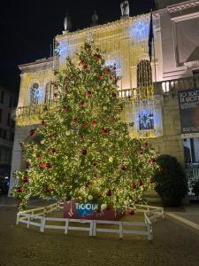 un albero di Natale davanti a un edificio di Appartamenti Dolly, tre unità distinte a Padova