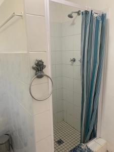 y baño con ducha con cortina azul. en Regent Casa’s, en Ciudad del Cabo