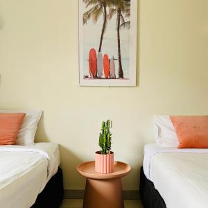 a room with two beds and a table with a cactus at Bay Motel in Byron Bay