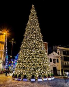 a large christmas tree in a city at night at La Rosa dei Venti Guest House in Pontecagnano