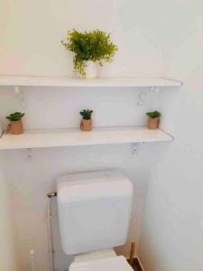 a bathroom with a toilet with three plants on shelves at Le Gentil Paris in Gentilly +17 photos