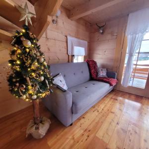 uma sala de estar com uma árvore de Natal e um sofá em Domek u Beaty em Dzianisz