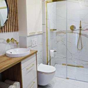 a bathroom with a shower and a toilet and a sink at Apartamenty u ROXI in Jelenia Góra