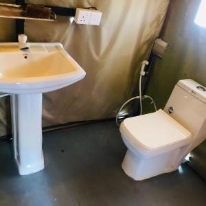 ein Bad mit einem WC und einem Waschbecken in der Unterkunft Green View Peak in Gampola