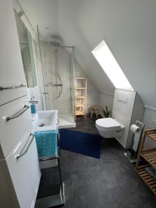 uma casa de banho com um WC, um lavatório e um chuveiro em Fewo 3 - Seehaus Hoyer em Gunzenhausen