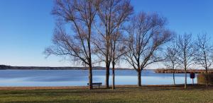 duas árvores e um banco em frente a um lago em Fewo 3 - Seehaus Hoyer em Gunzenhausen