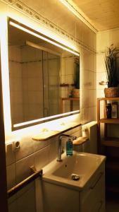 a bathroom with a sink and a large mirror at Fewo 1 - Seehaus Hoyer in Gunzenhausen