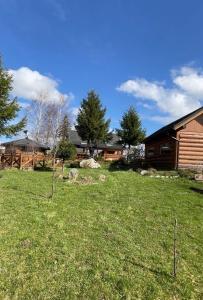 a yard with a log cabin and a house at Nasza Chata in Jaworzynka