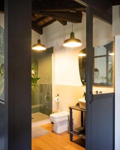 a bathroom with a toilet and a shower and a sink at Le 33 in Bassano del Grappa