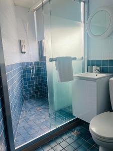 a bathroom with a shower with a toilet and a sink at 樓梯旅宿-東大門夜市旁-可包棟 in Hualien City